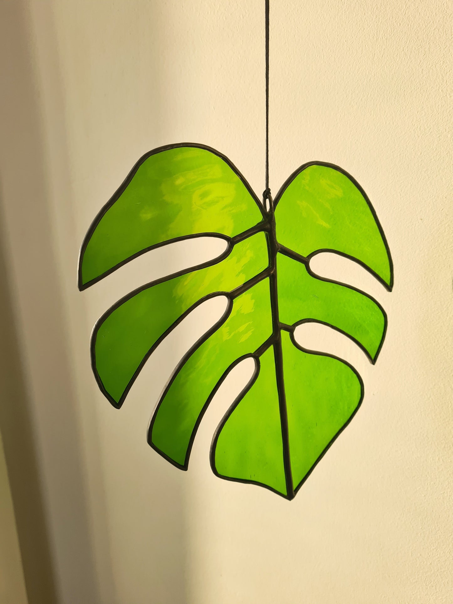 monstera leaf